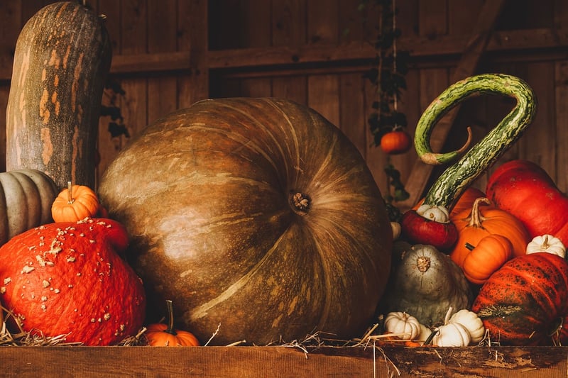 Pumpkin seeds